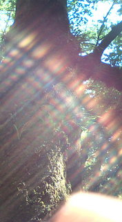 20100513090109.jpg