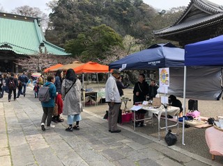 てらつど_190401_0001.jpg