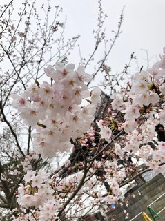 てらつど_190401_0005.jpg
