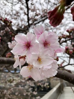 てらつど_190401_0008.jpg