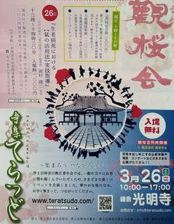 IMG_20160229_003303.jpg