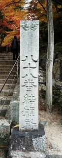 IMG_20161116_093834.jpg