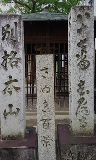 IMG_20161116_095203.jpg