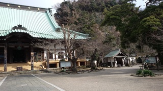 IMG_20170316_150503.jpg