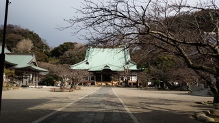 IMG_20170316_150900.jpg