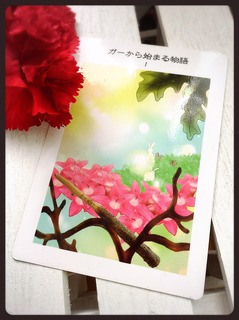 S__14467077.jpg