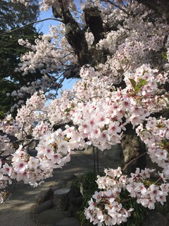 S__27656199.jpg