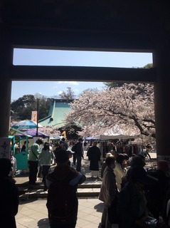 S__27656209.jpg