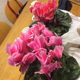 S__7823374.jpg